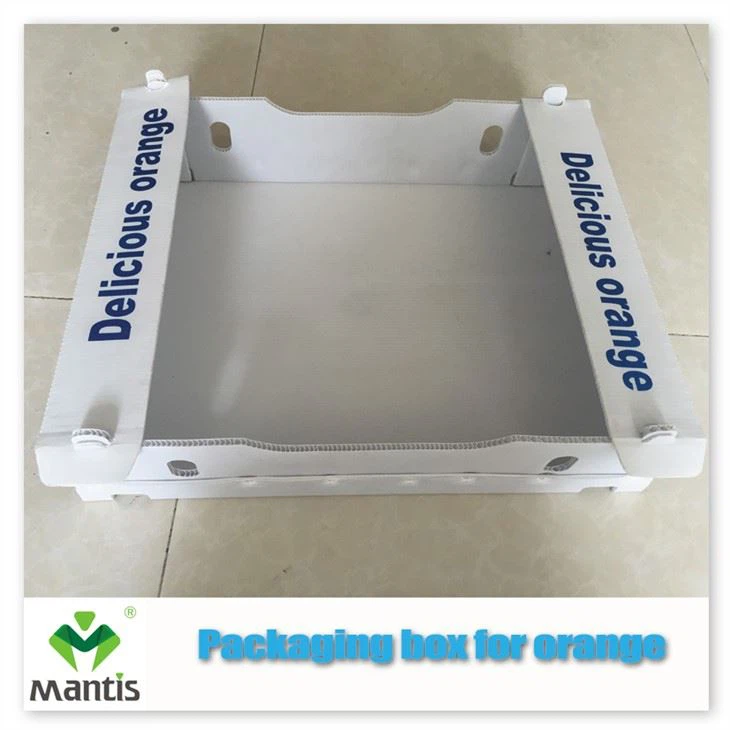 Corrugated plastic vegetable box