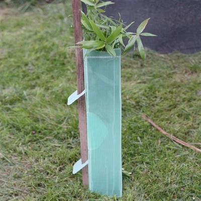 Plastični ščitniki za drevesa Corflute Zaščita rastlin