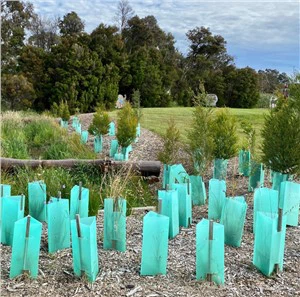 Vine Guard Sajenje Zaščita dreves