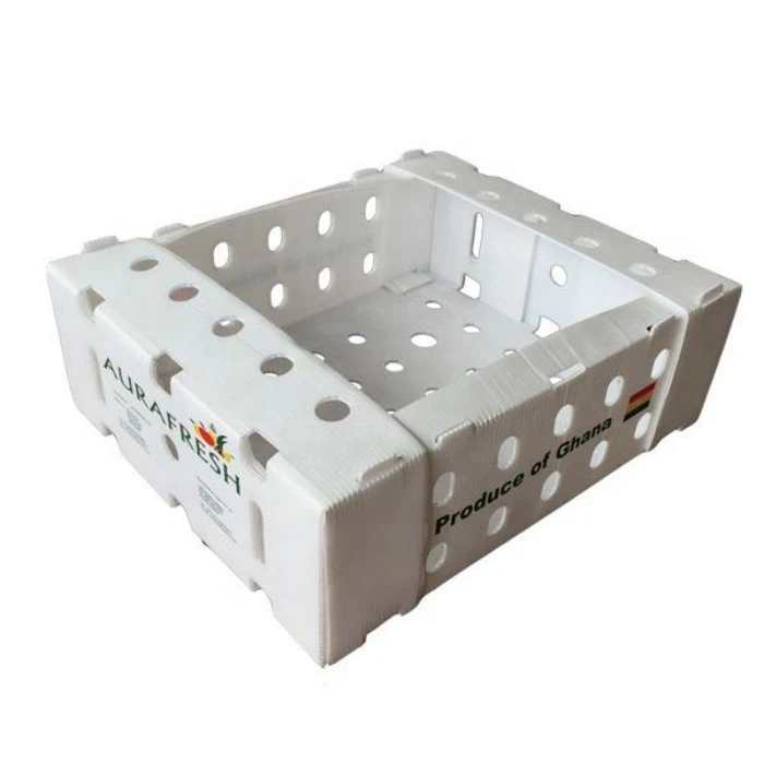 Eco-Friendly Corrugated Plastic Storage Boxes best